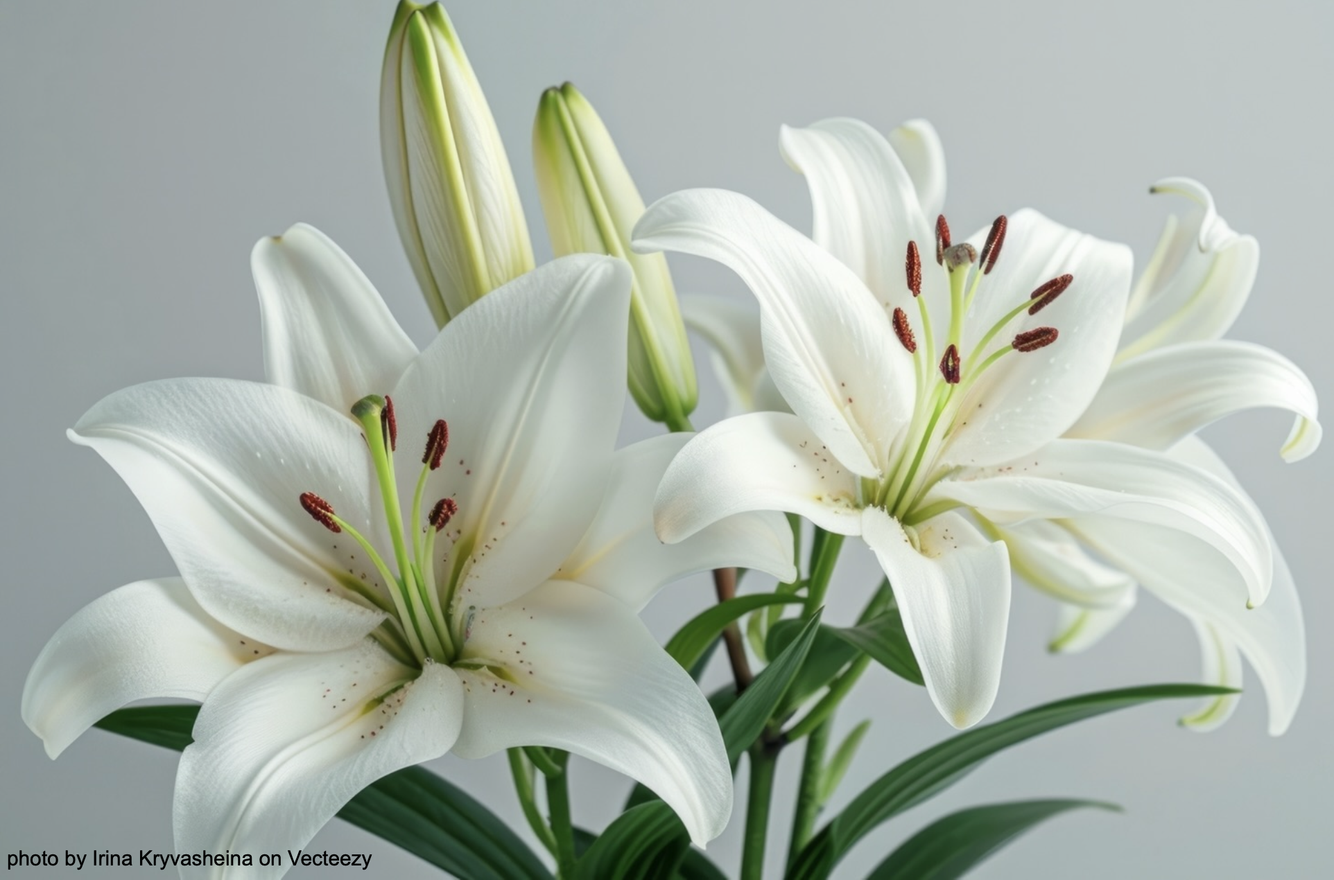 screenshot 2026 04 04 at 2.58.09 pm